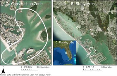 An Ethology of Adaptation: Dolphins Stop Feeding but Continue Socializing in Construction-Degraded Habitat